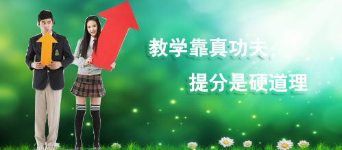 bannner02